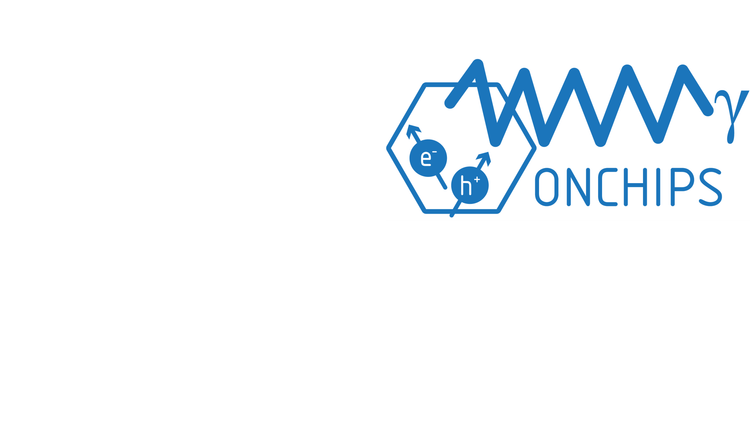 Logo website